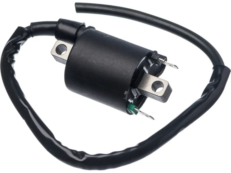 Bobina ignição Titan 160 Titan 150 14/ Bros 18/20 Xre 190 Fan 125 16/ VEDAMOTORS 5015360