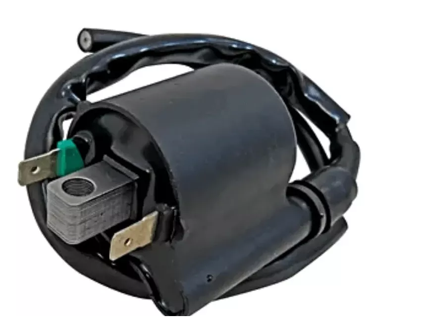 Bobina Ignição Titan 150 09/17 Fan 125 09 Bros 150 09/16 Xre 300/190 Titan 125 /08 Biz 125 09/ Pop 100 Importado
