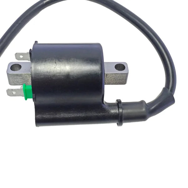 Bobina ignição Titan 160 Titan 150 14/ Bros 18/20 Xre 190 Fan 125 16/ VEDAMOTORS 5015360