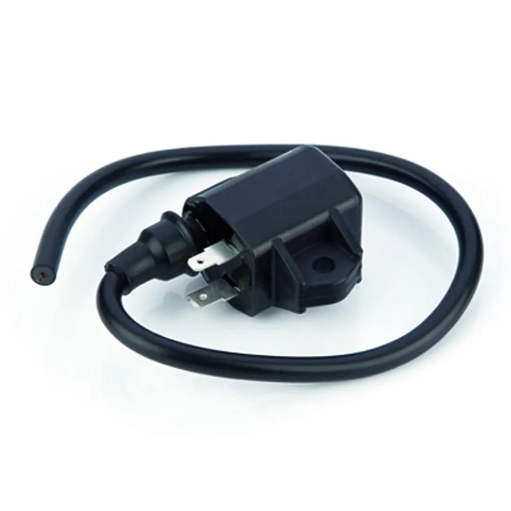 Bobina Ignição Burgman 125 05/10 VEDAMOTORS 5015363