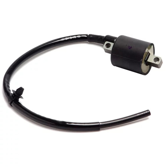 Bobina Ignição Burgman 125 05/10 VEDAMOTORS 5015363
