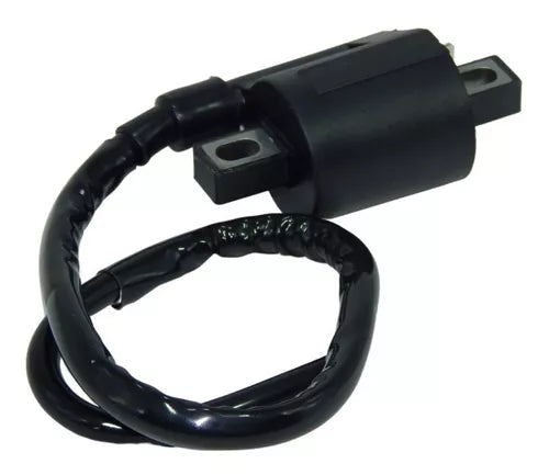 Bobina Ignição Fazer 150 Importado